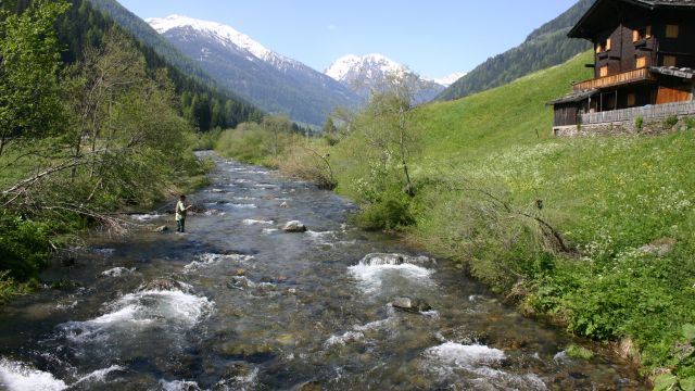 Fliegenfischen in Südtirol
